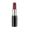 Pastel Nude Lipstick 527 4.3 g