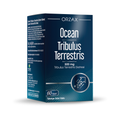 Orzax Ocean Tribulus Terrestris 500 mg 60 Capsules – High Saponin Formula
