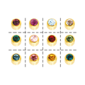 Artımed Caflon Gold Mix Ear Piercing Earrings