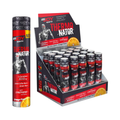 Bigjoy Thermonator Carnitine 40ml x 20 Shots