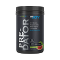 Bigjoy Predator 510g