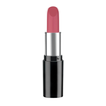 Pastel Nude Lipstick 524 4.3 g
