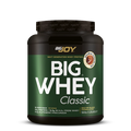 BIGJOY BIGWHEY Classic Chocolate 560 g 16 Servings