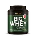BIGJOY BIGWHEY Classic Strawberry 528 g 16 Servings