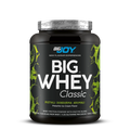 BIGJOY BIGWHEY Classic Pistachio Ice Cream 528 g 16 Servings