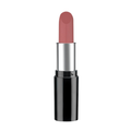 Pastel Nude Lipstick 541 4.3 g
