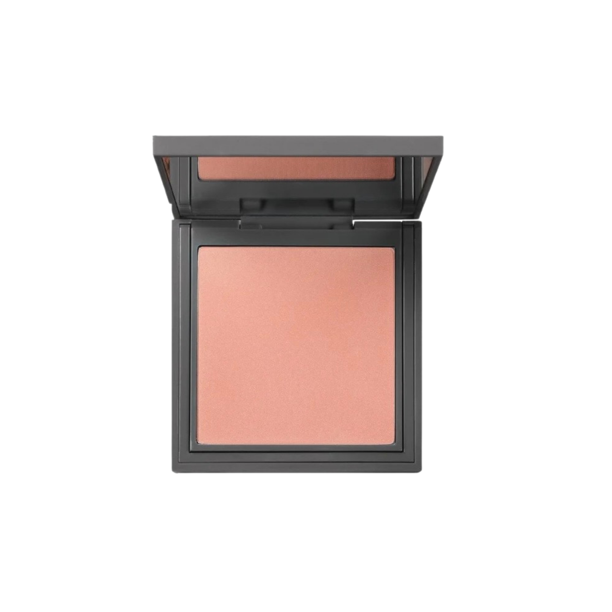 Alix Avien High Pigment Silky Powder Blush 109 Pretty Blush