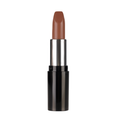 Pastel Nude Lipstick 546 4.3 g