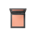 Alix Avien High Pigment Silky Powder Blush 107 Soft Peach