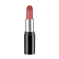 Pastel Nude Lipstick 545 4.3 g