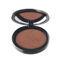Pastel Advanced Compact Powder 60 11 g