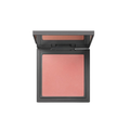 Alix Avien High Pigment Silky Powder Blush 108 Sweet Apricot
