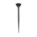 Alix Avien Fan Brush Highlighter Fan Brush