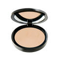 Pastel Advanced Compact Powder 45 11 g