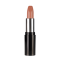Pastel Nude Lipstick 549 4.3 g