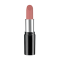 Pastel Nude Lipstick 543 4.3 g