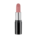 Pastel Nude Lipstick 536 4.3 g
